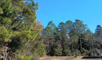 Bryant Drive, Bayou La Batre, AL 36509