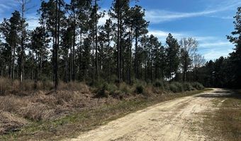 5-6 Laird Lane FM 357, Apple Springs, TX 75926