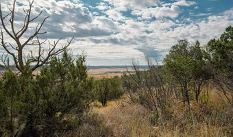 TBD Hwy 246, Capitan, NM 88316