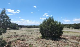 12 B Juniperwood Rnch, Ash Fork, AZ 86320