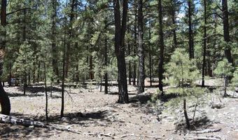 80 Ranch Rd, Bayfield, CO 81122