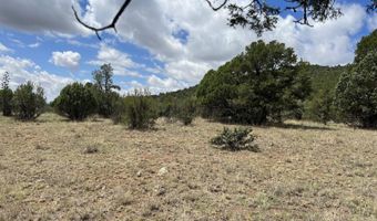 415 XYZ, Arenas Valley, NM 88022
