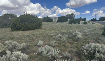 79 Alpine Ln, Concho, AZ 85924