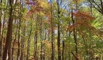 Flint Ridge Road lot 6, Albemarle, NC 28001