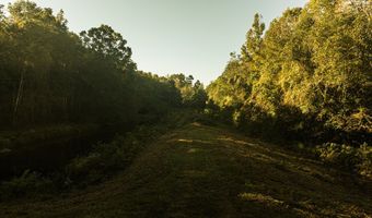 0 Co Rd 53, Abbeville, AL 36319