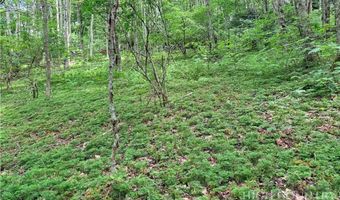Chestnut Mountain Road, Banner Elk, NC 28604