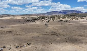 New Mexico 246, Capitan, NM 88316