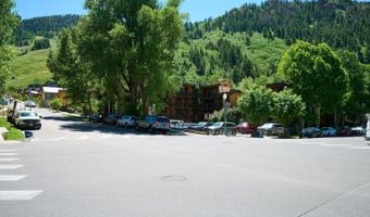 131 E Durant Ave 410, Aspen, CO 81611