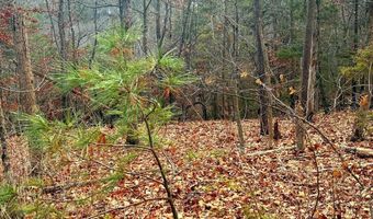 SPITZ Lane, Basye, VA 22810