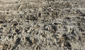 00000 CR 140, Alexander, KS 67513