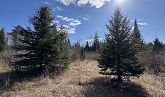 2254 E M30, Alger, MI 48610