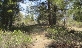 Night Owl Drive Lot 2, Bonanza, OR 97623