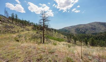 693 Cougar Dr, Bellvue, CO 80512
