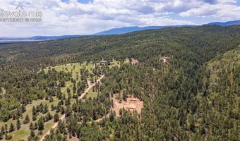 8719 Ponderosa Pine Dr, Beulah, CO 81023