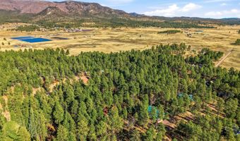 30 County Road 2066, Alpine, AZ 85920