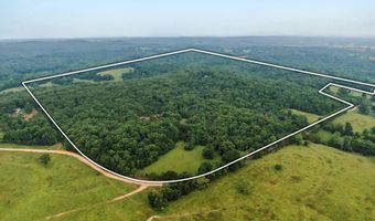 17585 Co Rd #Af-304, Ava, MO 65608