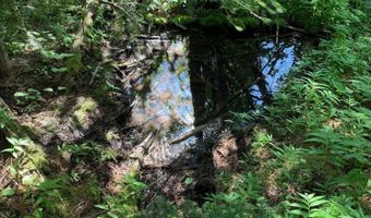Nna Log Cabin Rd, Bonners Ferry, ID 83805