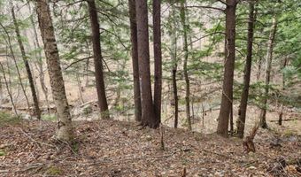 0 Clarks/Woodland Trl 409-4, Alexandria, NH 03220