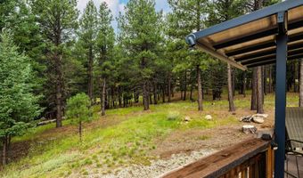 19 Conchas Dr, Angel Fire, NM 87710