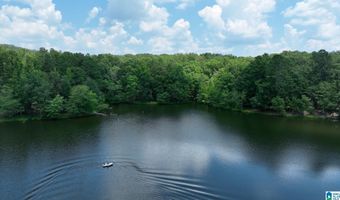 411 DR JENKINS Ln, Altoona, AL 35952