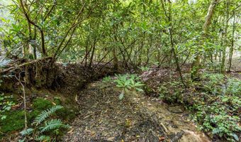 1034 Chestnut Flats Rd, Andrews, NC 28901