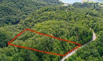Bayside Blvd lot # 32, Bean Station, TN 37708
