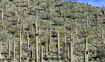 42000 N Fleming Springs Rd P, Cave Creek, AZ 85331