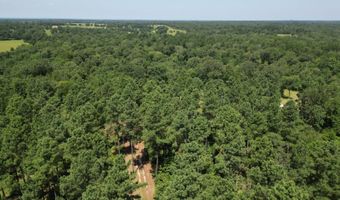 80 N4130 Rd, Antlers, OK 74523