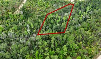 CASTLE CIRCLE, Alford, FL 32420