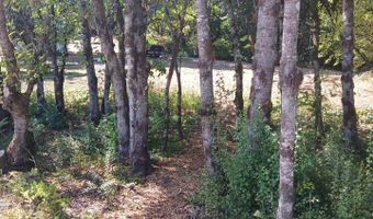 20055 NW Pihl Rd, Banks, OR 97106