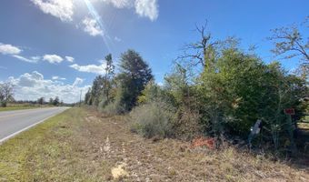 21332 NW Melvin New Grade Rd, Altha, FL 32421