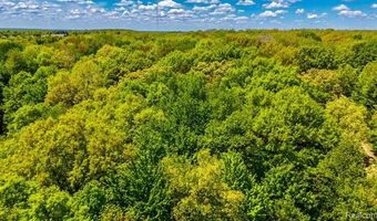 2905 N Lake Pleasant Rd, Arcadia, MI 48412