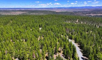 7792 California Pines Blvd, Alturas, CA 96101