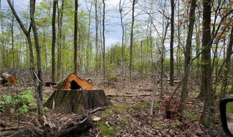 3705 ALEXANDER Rd, Randolph, OH 44201