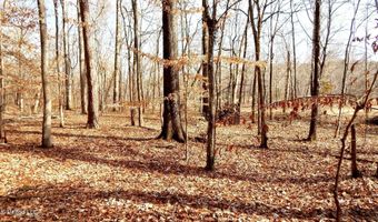 519 247 Country Rd, Bruce, MS 38915