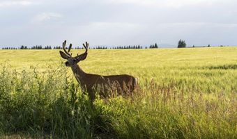 TBD E 1400 N, Ashton, ID 83420