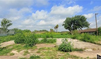 3921 S Alamo Rd, Alamo, TX 78542