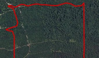 153 ACRES 34.6002 -95.08725, Albion, OK 74571