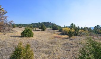 NHN Trails End Drive, Anaconda, MT 59711