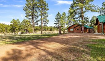 2 CR N2261, Alpine, AZ 85920