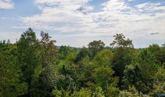 10675 29 Acres Shoal Creek Rd, Ashville, AL 35953