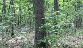 3751 CR 1313 County Road 1313 Crane Lake Rd, Arcadia, MO 63621
