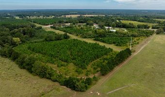 20 Ac State Hwy 95 Columbia Rd, Abbeville, AL 36310