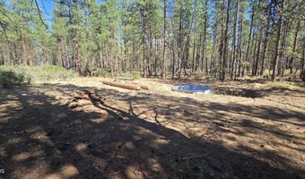 Smith Drive lot 5, Beatty, OR 97621