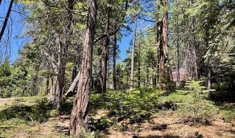 1474 Moran Rd, Arnold, CA 95223