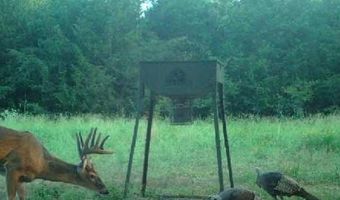 000 Hwy 105, Atkins, AR 72823