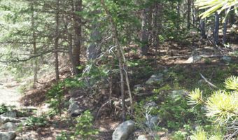 0 Gamble Gulch, Black Hawk, CO 80422