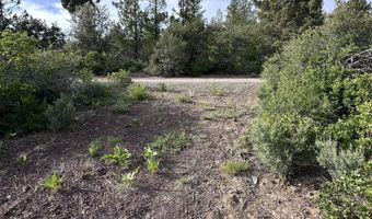 Porpoise Lane Lot 29, Bonanza, OR 97623