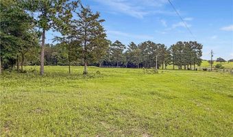 6779 County Road 215, Anderson, TX 77830