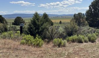 Medicine Mountain Drive 1, Beatty, OR 97621